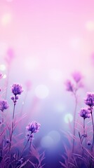 Fototapeta na wymiar Lavender field background