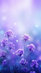 Plakat Lavender field background