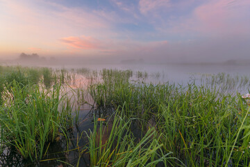 morning on the river