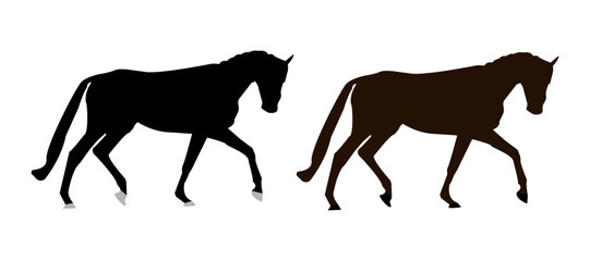 Vector horse silhouette - isolated. Black and brown stallions. Shod horse.