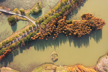 Aerial view, forests and lakes