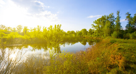 calm summer river scene at the sunset