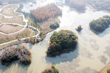 Aerial view, forests and lakes