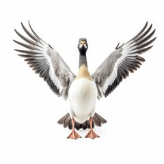 Cackling goose bird isolated on white. Generative AI
