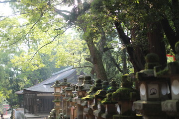 trip to Japan