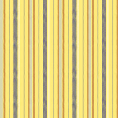 Obraz premium Stripe pattern geometric seamless.