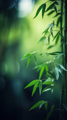 Fototapeta na wymiar Closeup view of green bamboo leaves with blurred bokeh sunlight background. Vertical composition. Generative AI