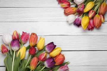 Beautiful colorful tulip flowers on white wooden table, flat lay. Space for text