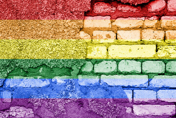 The rainbow flag or pride flag is a symbol of LGBT pride and LGBT social movements. The colors reflect the diversity of the LGBT community and the spectrum of human sexuality and gender