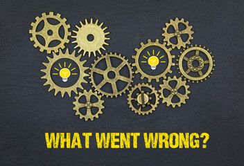 What went wrong?	