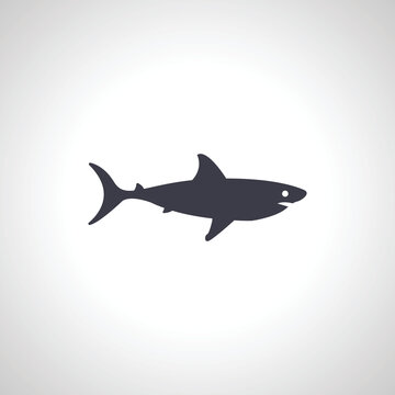 Shark fish icon. Shark isolated icon