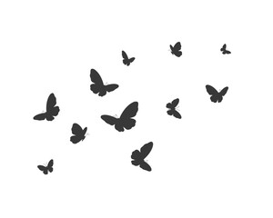 Obraz na płótnie Canvas butterfly vector decorative