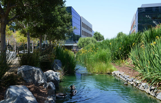 USA California Los Angeles Playa Vista May 8 2023 central park