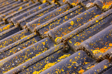 Obraz premium Roof tiles contaminated with moss and lichen on a house roof