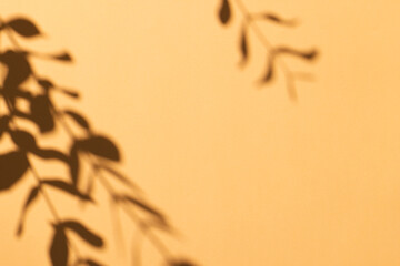 Close up of shadow of plant leaves and copy space on yellow background