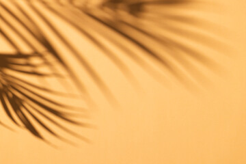 Close up of shadow of palm leaf and copy space on yellow background
