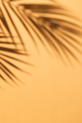 Close up of shadow of palm leaf and copy space on yellow background
