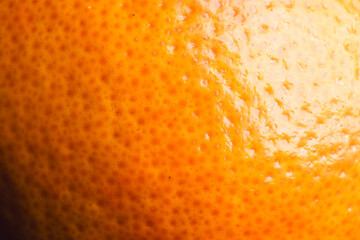 Close up of orange and copy space background