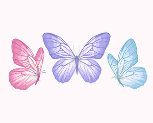 pastel colors watercolor butterfly on a white background