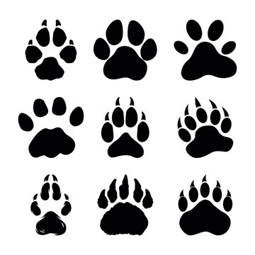 a set of dog paws icon