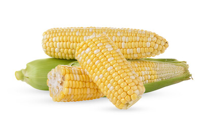 corn on transparent png