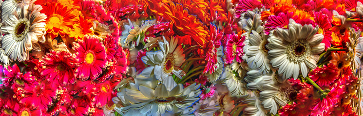 panorama of flowers from bright bouquets