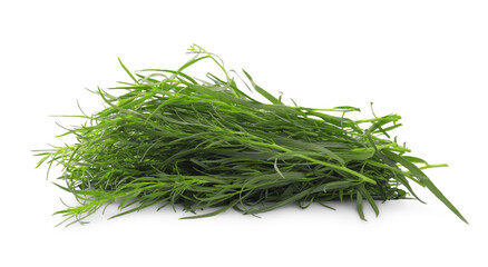Bunch of fresh tarragon on white background