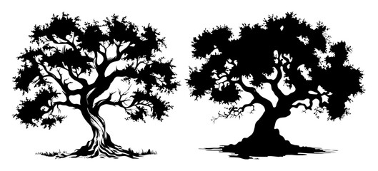 olive tree silhouette set illustration