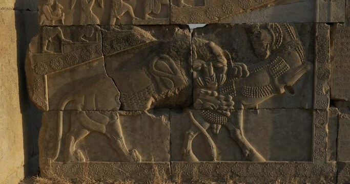 Bas-relief of a lion Persepolis Iran