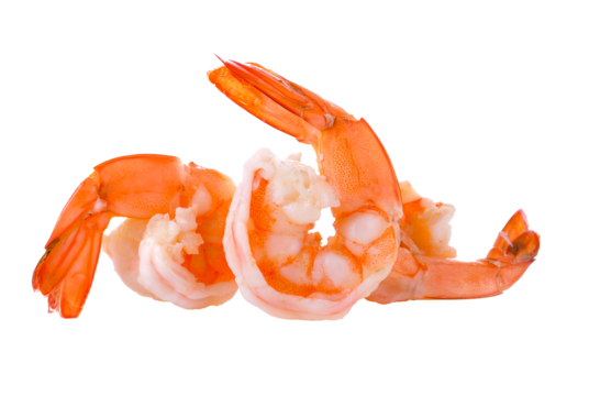 boiled shrimp on  transparent png