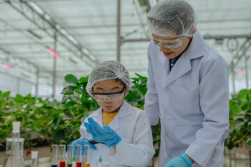 Junior scientist trainee gain real-world strawberry farm experience, survey with hands-on training