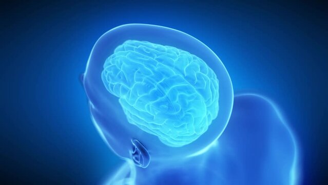 Animation of a damaged and degenerating human brain