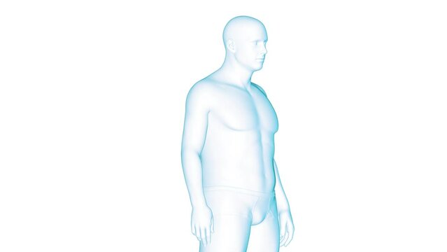 Animation of man changing from overweight to fit