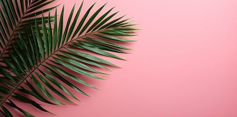 Fototapeta na wymiar A vivid contrast of vibrant green and passionate pink captures the beauty of a lush palm tree leaf against a vibrant background