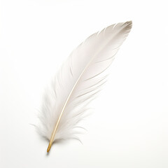 Feather on a white background AI Generative