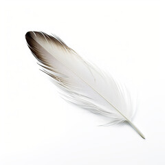 Obraz premium Feather on a white background AI Generative