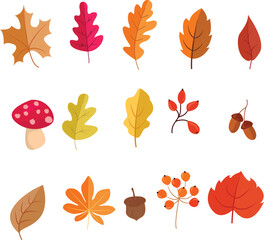 Fototapeta na wymiar autumn elements with dry leaves