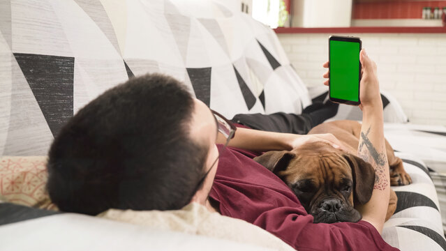 Person lying on a sofa with their dog while holding a mobile phone with a green screen