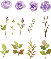 set of purple rose flower elements and leaves