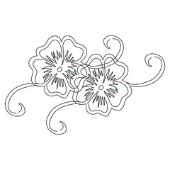 line art two flower vector design drawing continuous design. Hand drawn line of abstract flower, floral, rose, tropical leaves, spring and autumn leaf, bouquet of olives.Vector illustration.vector 