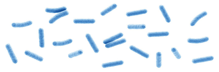 Bacteria. Bacterium. Blue color. Prokaryotic microorganisms. Isolated. 3d illustration. - obrazy, fototapety, plakaty