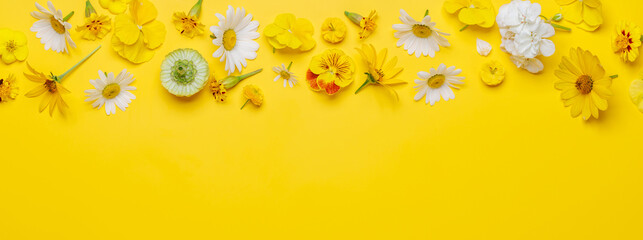 Assorted flowers on yellow backdrop