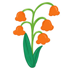 Orange flowers, lily of the valley 