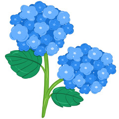 Twins Blue Hydrangeas 