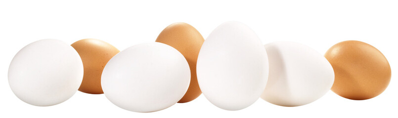 White and brown Eggs Pannorama - Transparent PNG Background