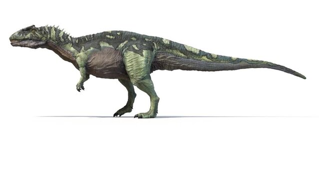 Animation of a walking Acrocanthosaurus dinosaur