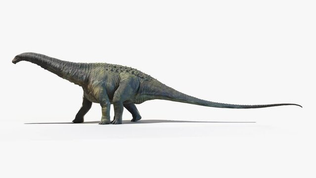 Animation of a walking Apatosaurus dinosaur