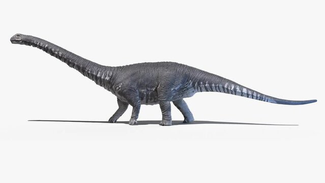 Animation of a walking Argentinosaurus dinosaur