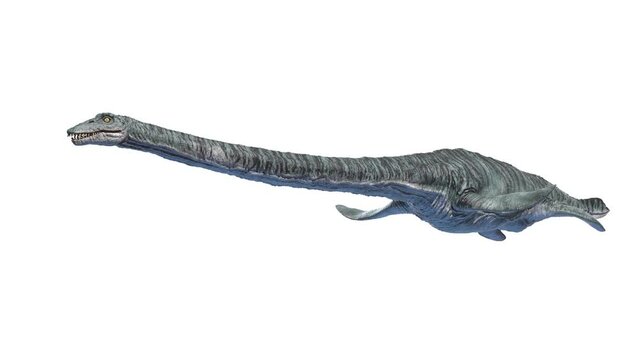 Animation of a Elasmosaurus dinosaur swimming