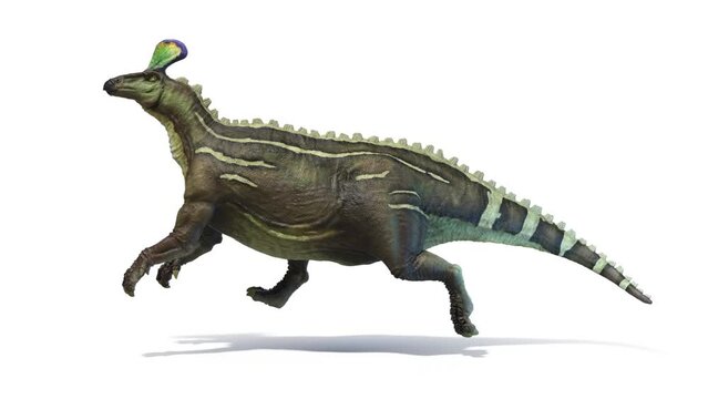 Animation of walking Tsintaosaurus dinosaur